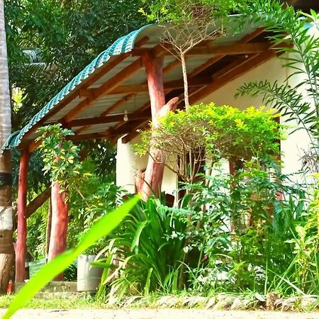 Sigiri Picaso Home Stay Sigiriya Esterno foto