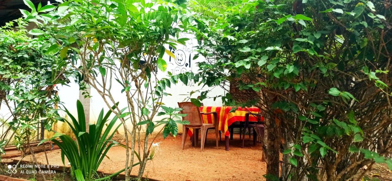 Sigiri Picaso Home Stay Sigiriya Esterno foto