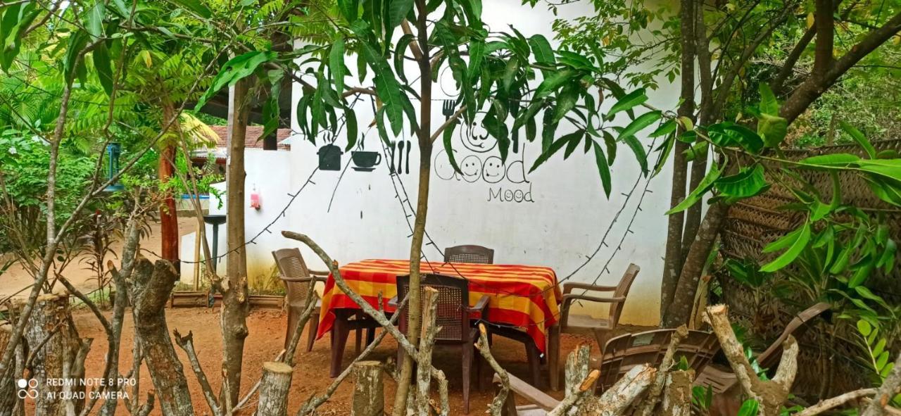 Sigiri Picaso Home Stay Sigiriya Esterno foto