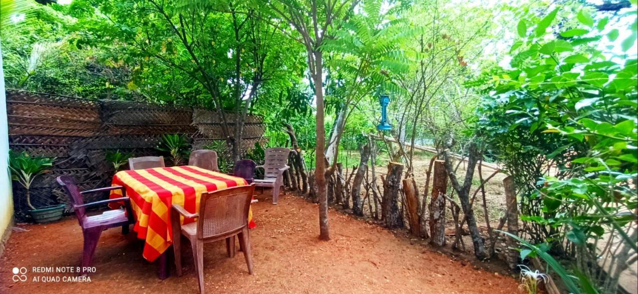 Sigiri Picaso Home Stay Sigiriya Esterno foto