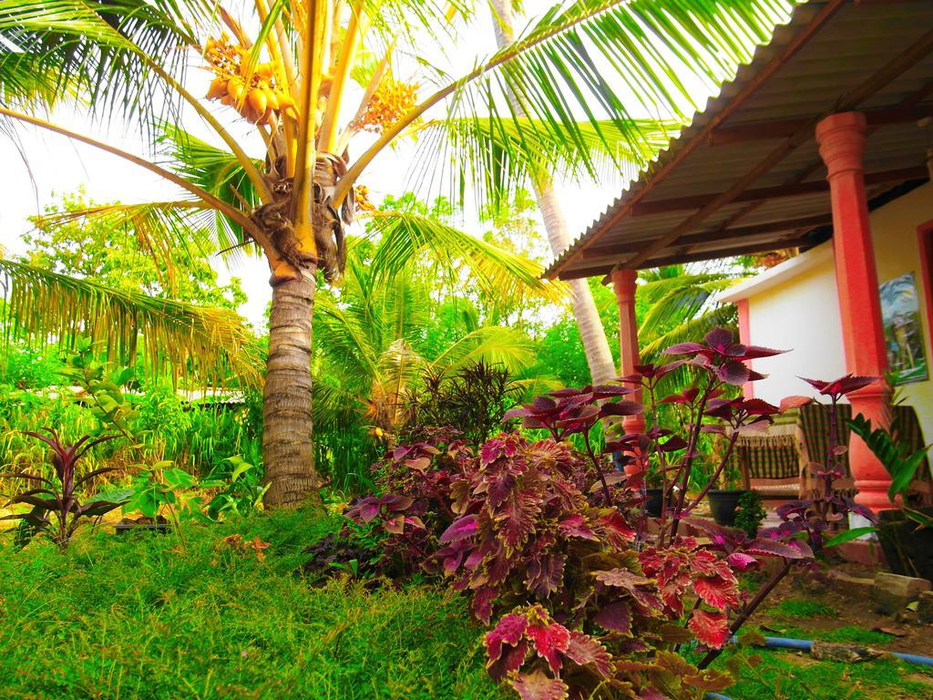 Sigiri Picaso Home Stay Sigiriya Esterno foto