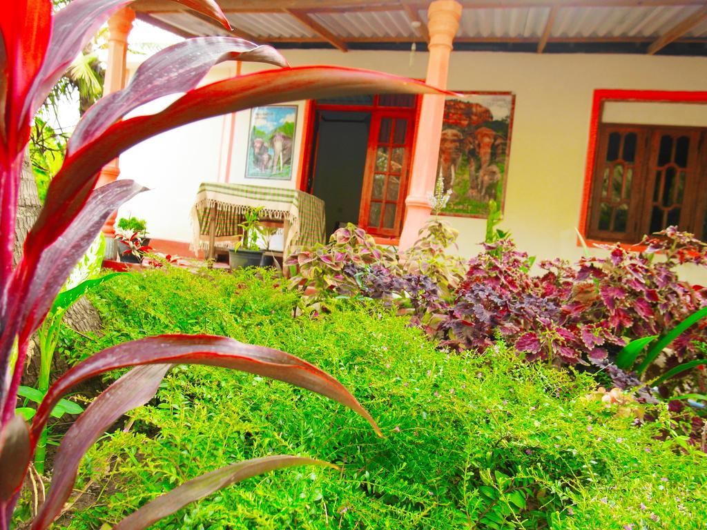 Sigiri Picaso Home Stay Sigiriya Esterno foto