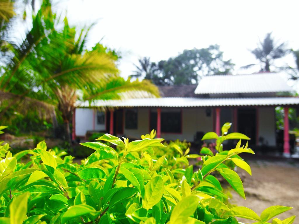 Sigiri Picaso Home Stay Sigiriya Esterno foto