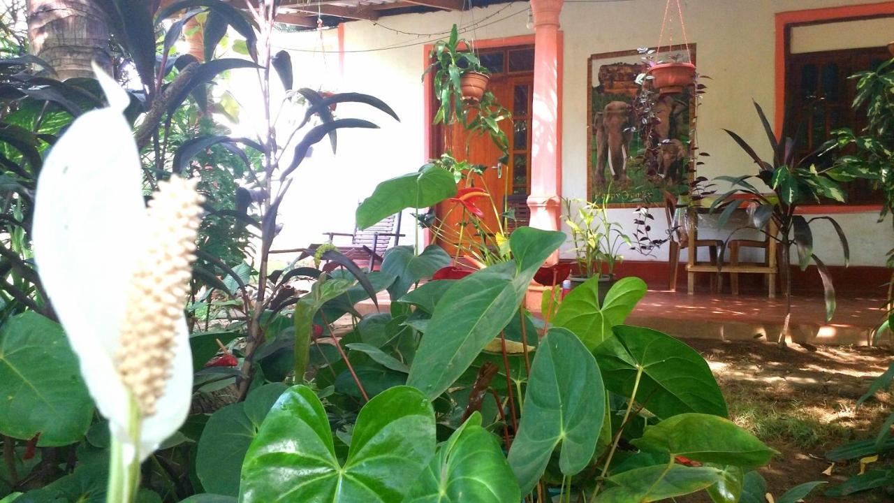 Sigiri Picaso Home Stay Sigiriya Esterno foto