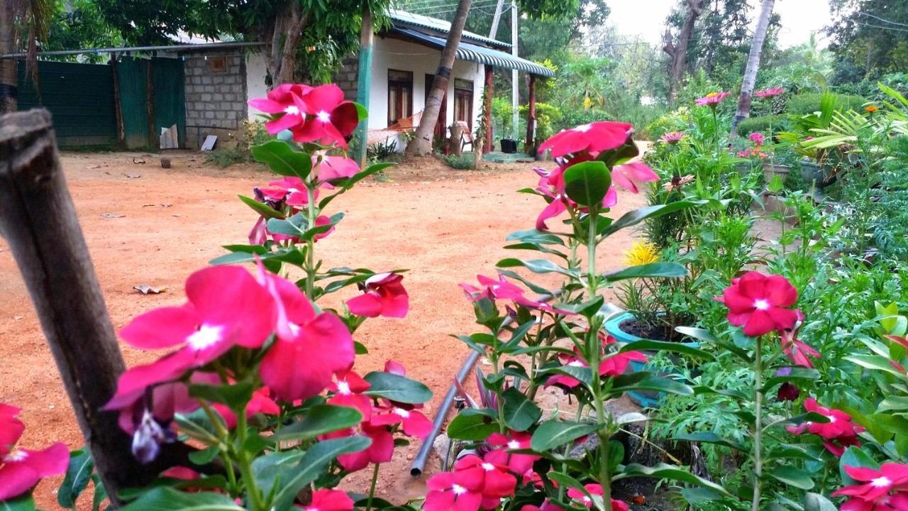 Sigiri Picaso Home Stay Sigiriya Esterno foto