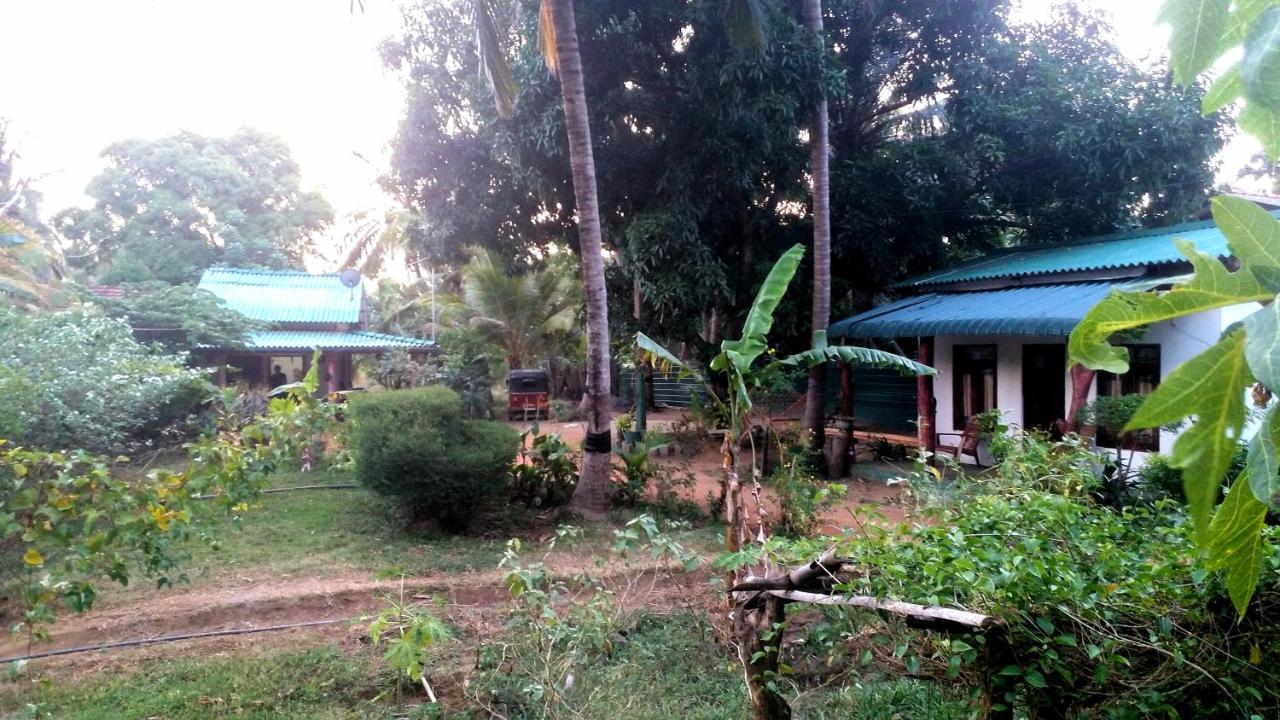 Sigiri Picaso Home Stay Sigiriya Esterno foto