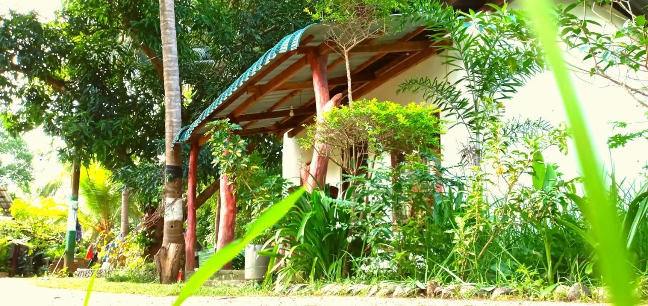 Sigiri Picaso Home Stay Sigiriya Esterno foto