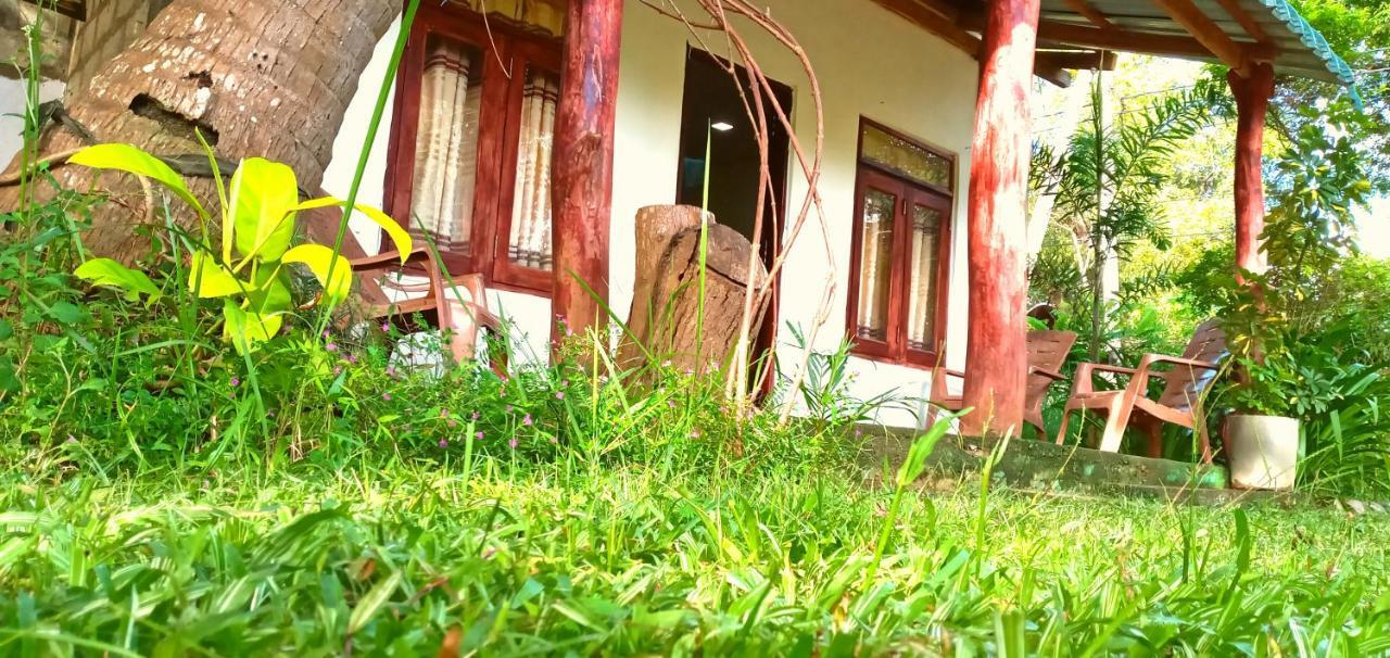 Sigiri Picaso Home Stay Sigiriya Esterno foto